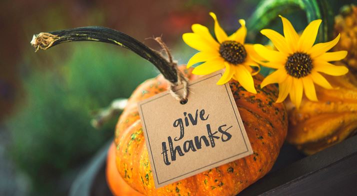 Thanksgiving pumpkin & flowers